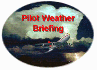 Pilot Weather Briefing logo